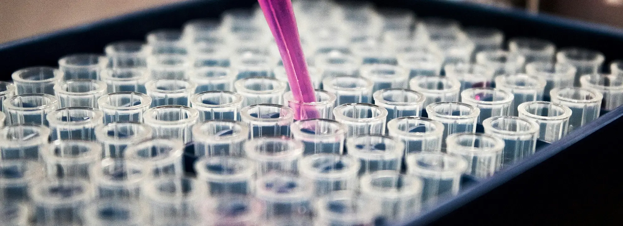 About Chariot Biosciences